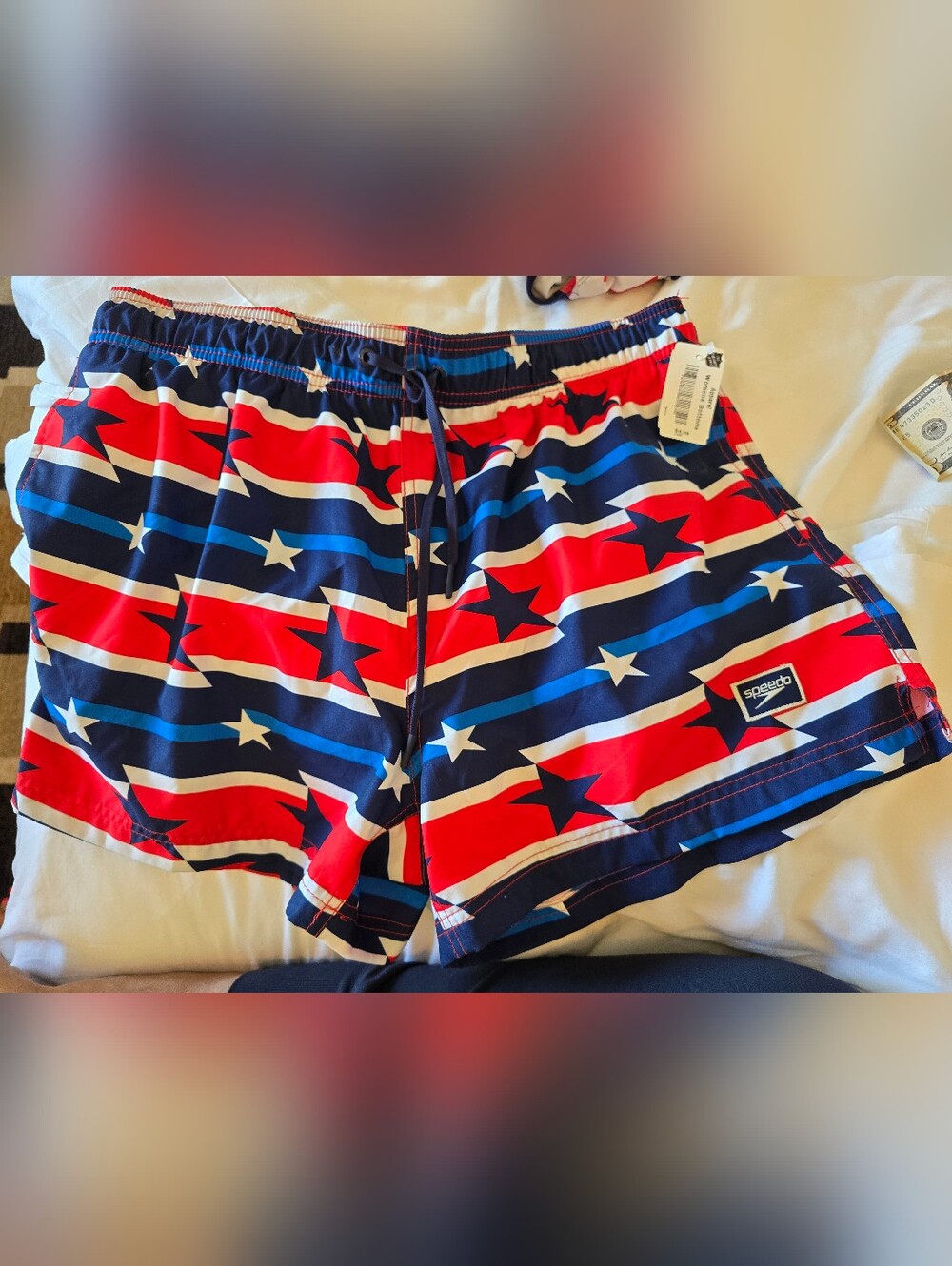 Men's Speedo Patriotic Swim Shorts